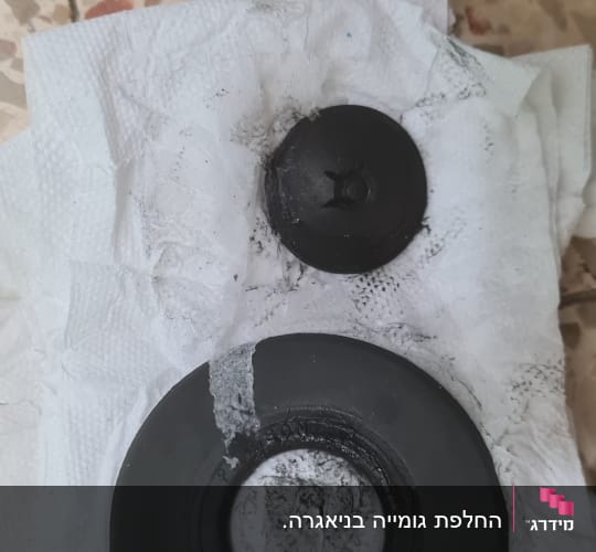 שני אטמים שחורים על מגבת נייר לבנה